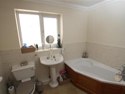 Picture 29